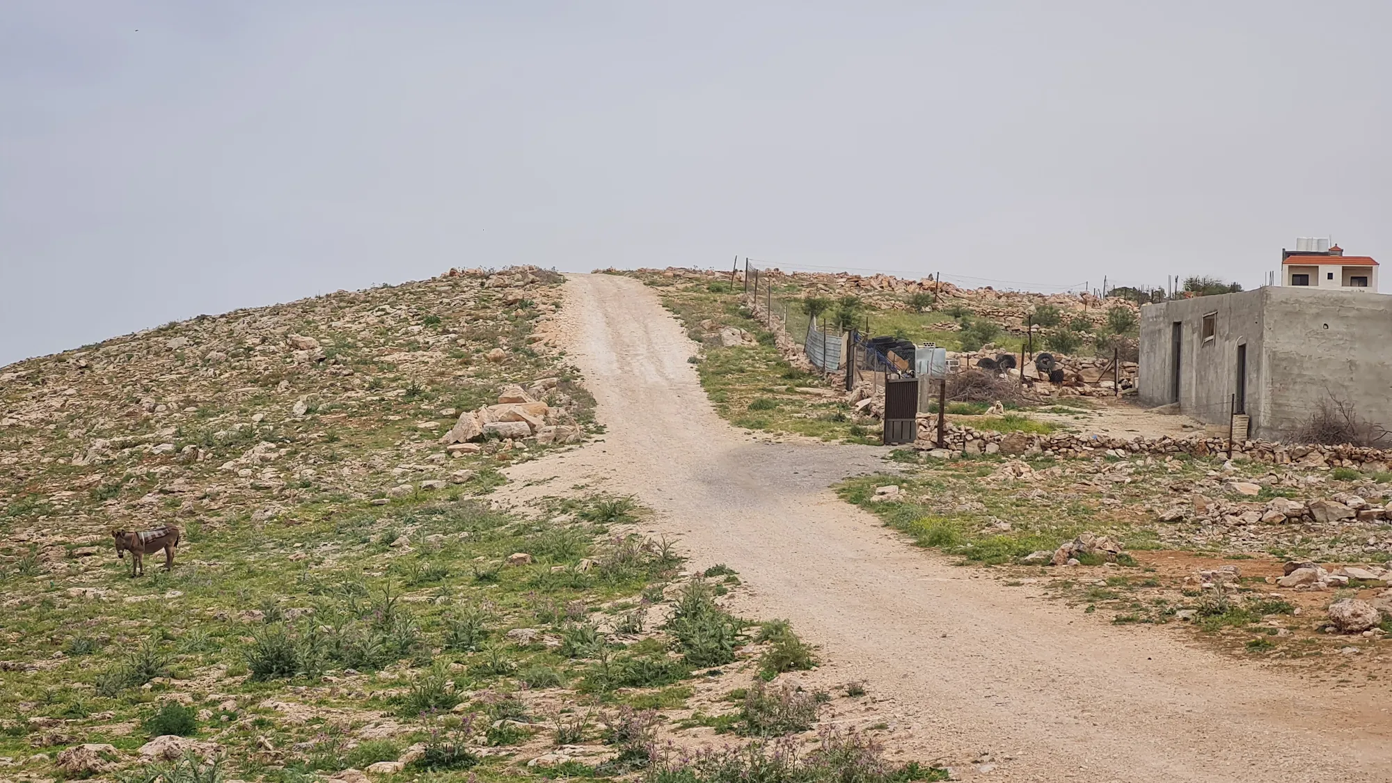 Gravelweg zwischen einfachen Häusern, am Rand eine Ziege