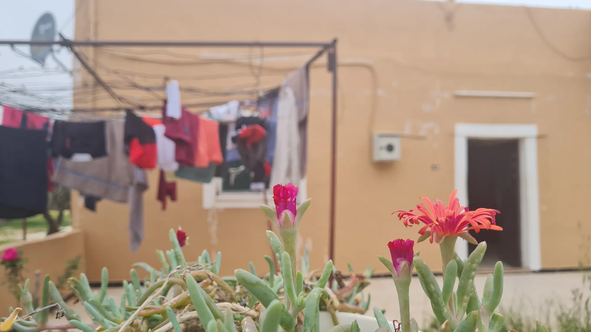 Wäscheleine und rote Blüten im Hof des Homestays in Mukawir