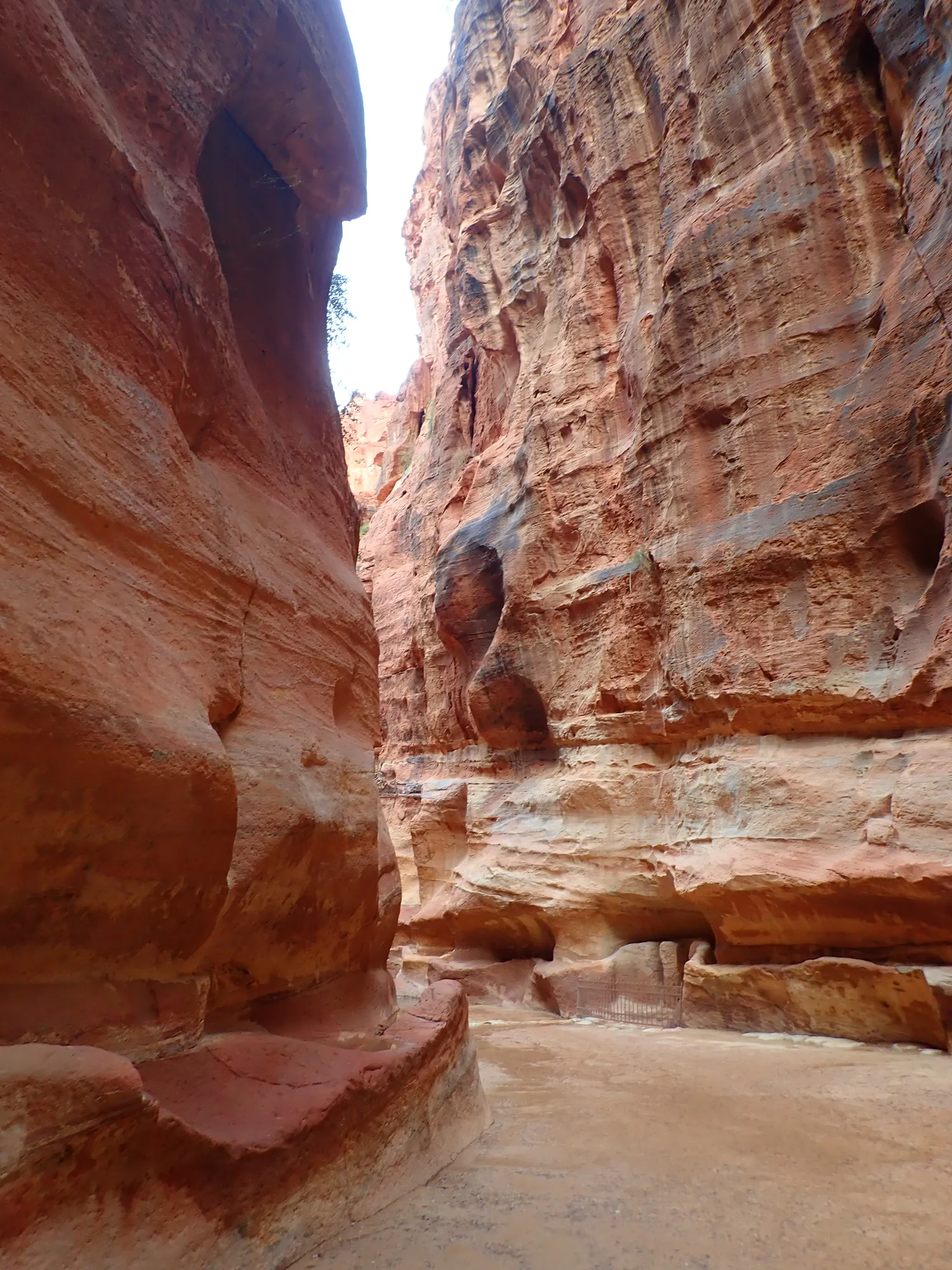 Rote Felswände im Siq, der Schlucht nach Petra