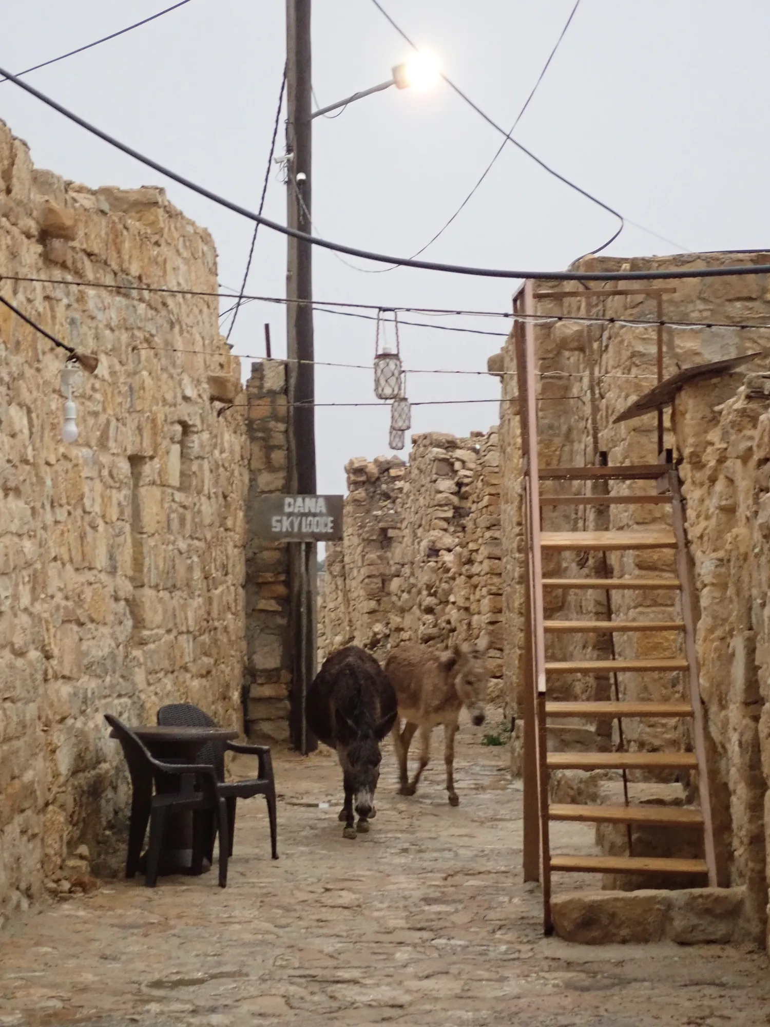Steingasse in Dana, mittendrin ein Esel