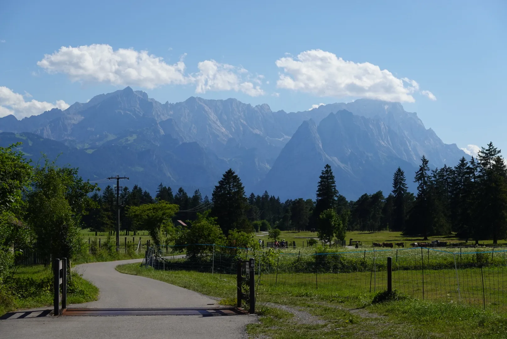 Breiter Radweg durch grüne Wiesen bei Murnau, dahinter das Wettersteingebirge