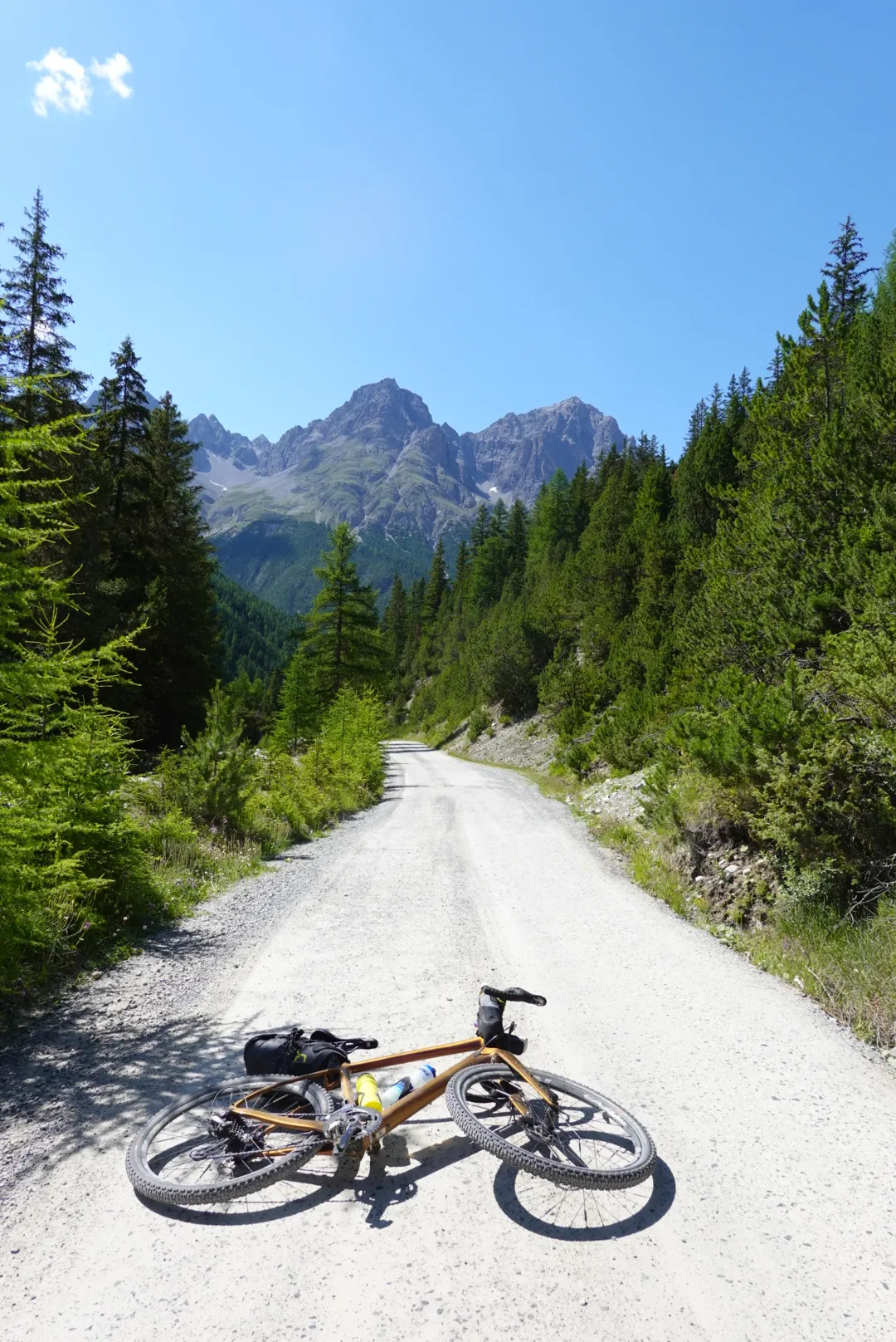 Gravelbike liegt auf einer hellen Gravelstraße zwischen Fichten, dahinter Berggipfel