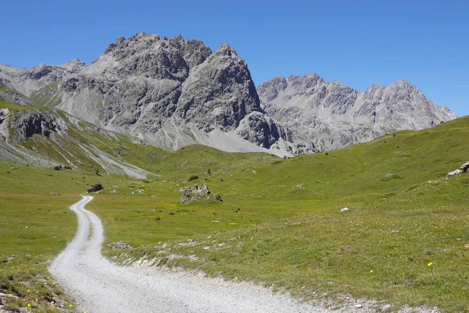 Gravelweg durch die weite Wiesenlandschaft im Val Mora