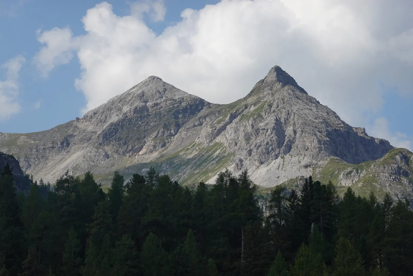 Zwei graue Felsgipfel über dunklem Fichtenwald