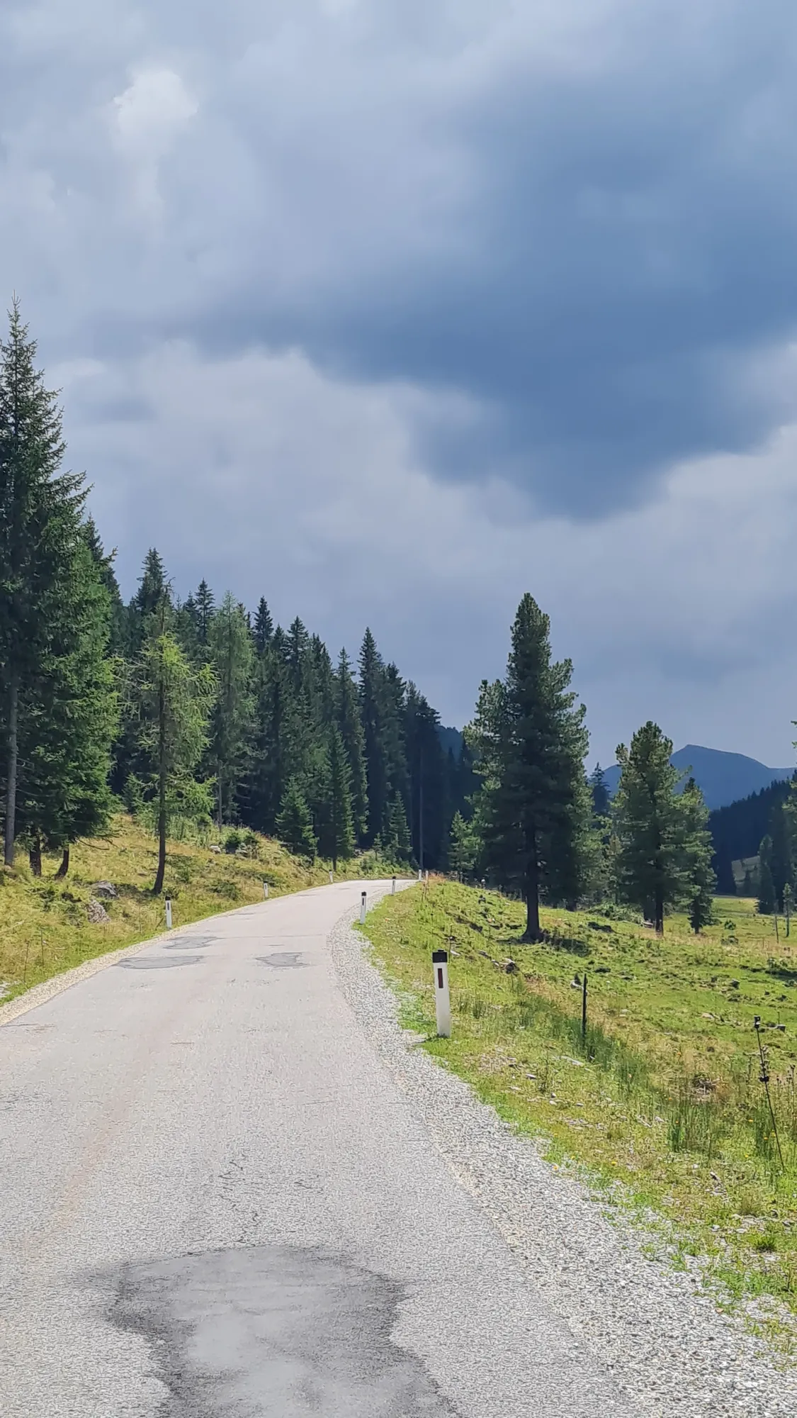 Schmale Straße durch Lärchen und Almwiesen Richtung Schönfeld