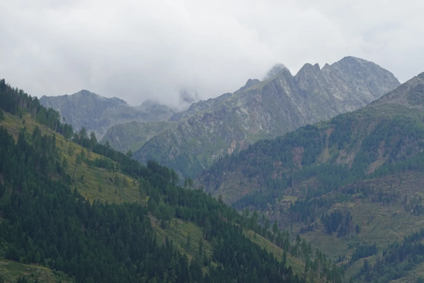 Wolkenverhangene Gipfel über bewaldeten Hängen
