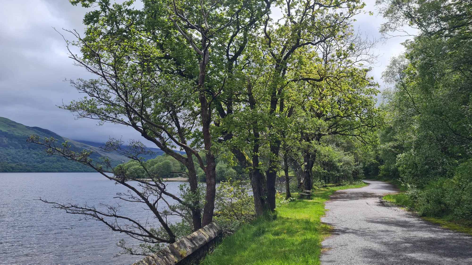 Asphaltierter Radweg unter Bäumen am Ufer von Loch Lomond
