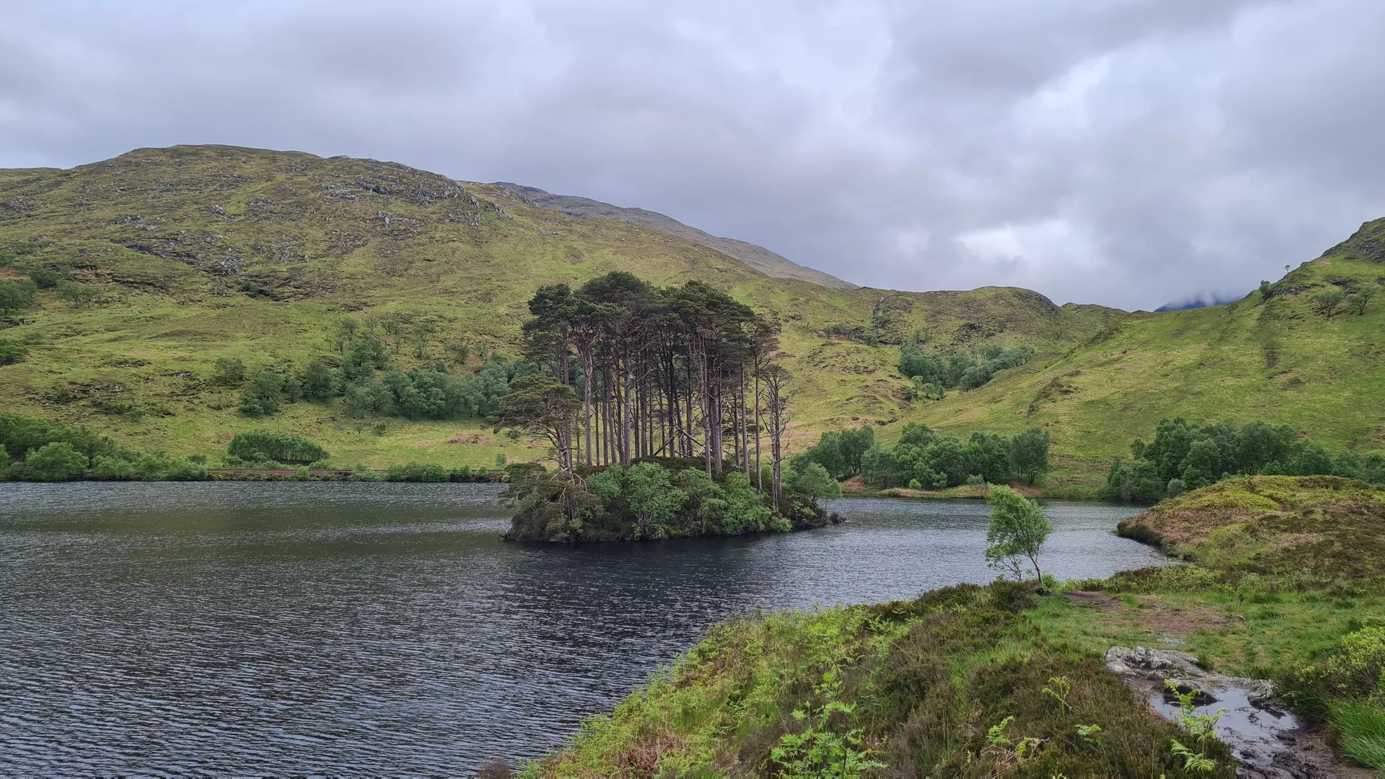 Kleine Insel mit Kiefern in Loch Eilt