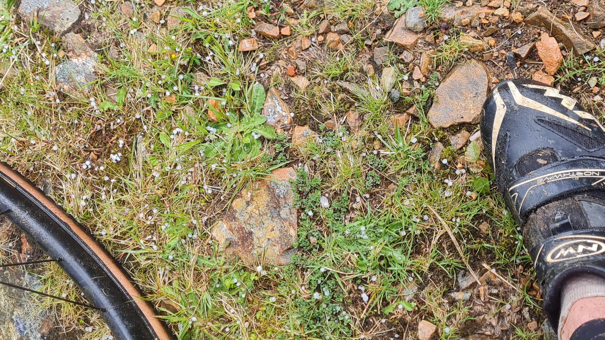 Ein nasser, dreckiger Radschuh im Gras